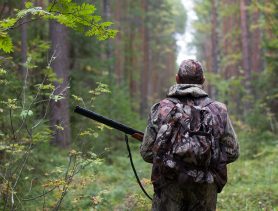 Охотникам на заметку: когда пошлина на охоту считается уплаченной