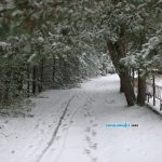 В Беларусь пришли морозы / фото: Сергей Багров