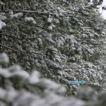 В Беларусь пришли морозы / фото: Сергей Багров