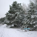 В Беларусь пришли морозы / фото: Сергей Багров