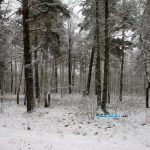 В Беларусь пришли морозы / фото: Сергей Багров
