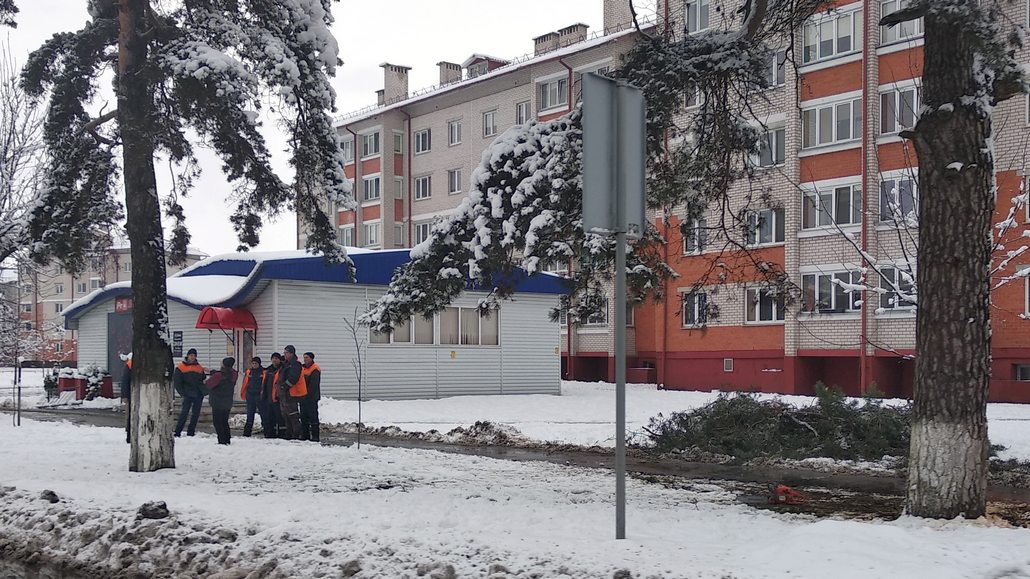 Деревья в Ганцевичах не выдерживают снежного покрова