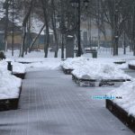 20210204_snegIMG_8096