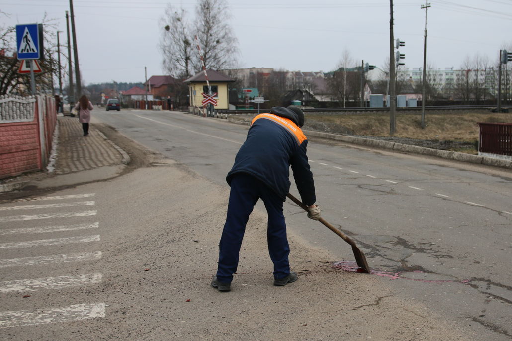 В Ганцевичах на глазах многочисленных горожан МАЗ задавил собаку на дороге