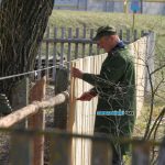 Пришедшая на Ганцевщину весна оживила деревенскую жизнь в Денисковичах