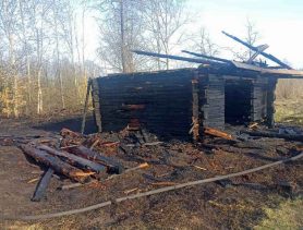 В деревне Люсино сгорела хозпостройка