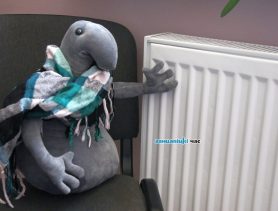 Ни намека на конец зимы: снег,дожди и морозы до конца недели в Беларуси