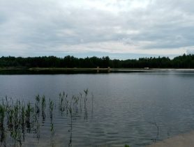 В Ганцевичах благоустроили пляж: так и хочется искупаться