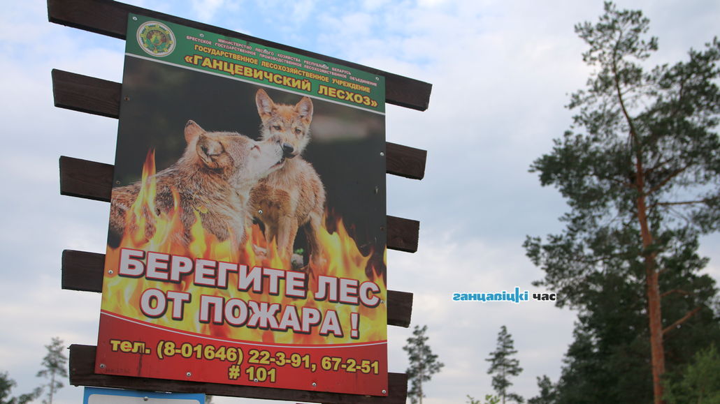 В Ганцевичском районе разрешили ходить в лес