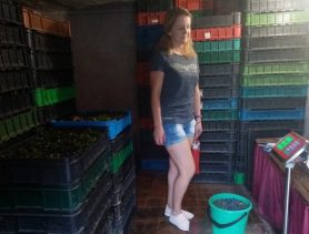 Цена на «черное золото» в Ганцевичском районе упала