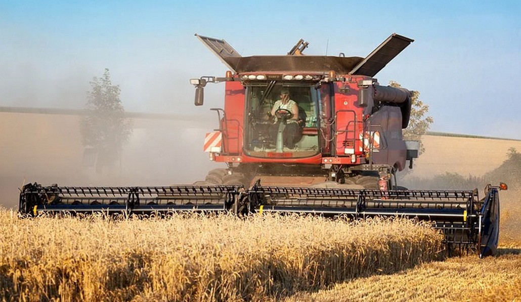 Фото носит иллюстративный характер, с сайта agrotimes.by.