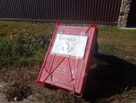 Как заготовители в Ганцевичском районе борются за каждого сдатчика клюквы