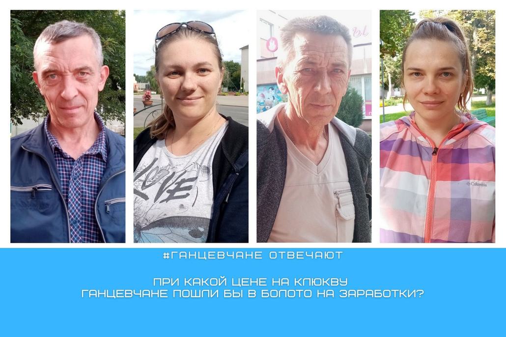 При какой цене на клюкву ганцевчане пошли бы в болото на заработки: опрос