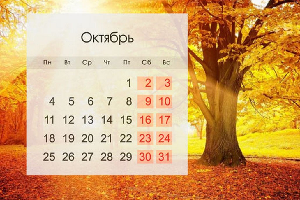 Что в Беларуси изменилось и подорожало с приходом октября