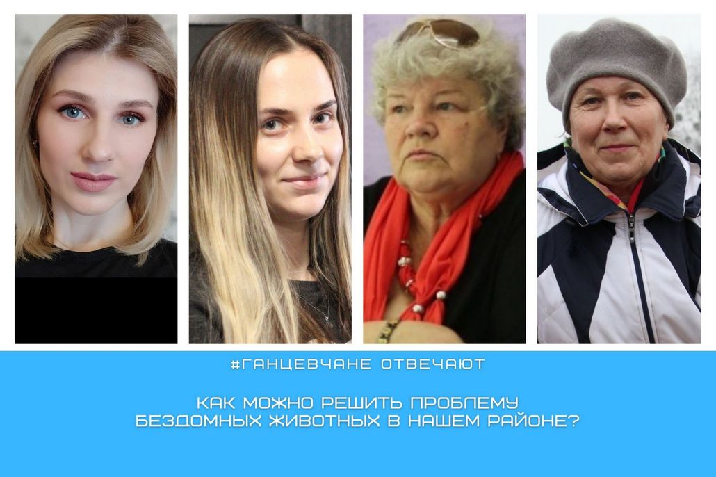 Как можно решить проблему бездомных животных в районе: мнение жителей Ганцевщины