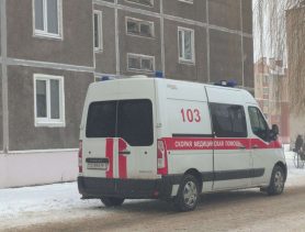 Двое детей попали в реанимацию в Столинском районе