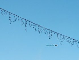 В Ганцевичах «Новый год» перенесли: фотофакт