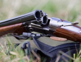 У браконьеров в Ганцевичском районе забрали тушу косули и три ружья с патронами