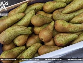 Таможенники не пустили в Беларусь польские груши под видом турецких