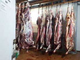 Директора и бухгалтера предприятия в Пинске обвиняют в коррупции