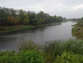 В реке Копанец в Столине обнаружили тело мужчины