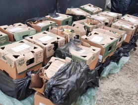 Через границу в Бресте в тепловозе провезли 76 килограммов контрабандного сыра