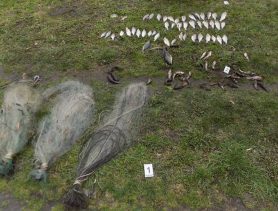 Многодетный отец из Березовского района оказался браконьером