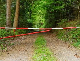 В Брестской области появился район, в котором ввели ограничения на посещение лесов