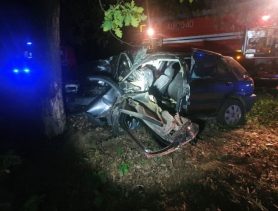 Водитель врезался в дерево на дороге Ивацевичи — Столин
