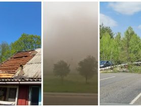 Песчаные бури пришли в Брестскую область: аварии, ветер срывал крыши и ломал деревья