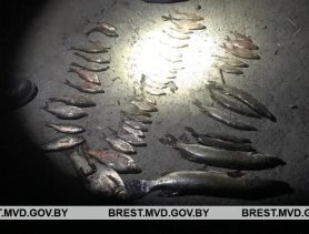 Пьяный браконьер после рыбалки оказал сопротивление сотрудникам ГАИ