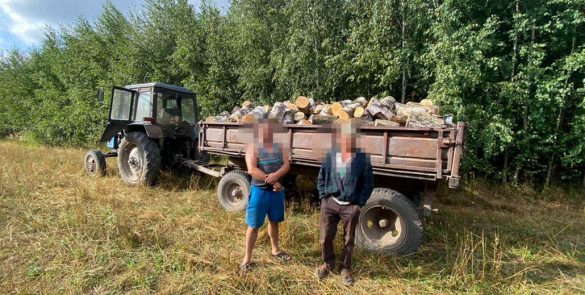 В деревне Большие Круговичи милиционеры остановили трактор «МТЗ» с прицепом. На нем 46-летний местный житель перевозил распиленную древесину