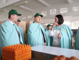 В Брестской области хотят создать индустриальный парк: только для белорусских предпринимателей