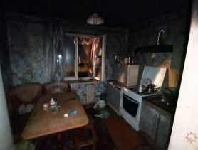 Хозяйка дома и ее сын погибли на пожаре в Брестской области