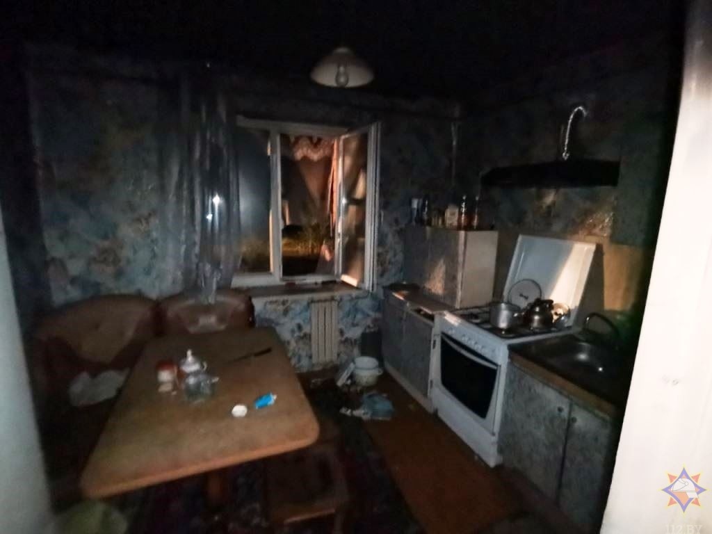 Хозяйка дома и ее сын погибли на пожаре в Брестской области 