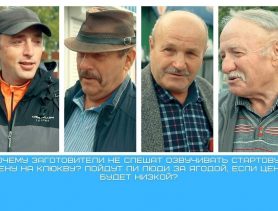 Тайна цены на клюкву раскрыта: почему до сезона заготовки скрывали цену