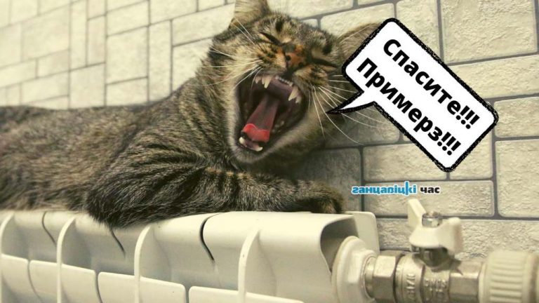 В Минске начинают подключать отопление в детских садах и школах. А что в Брестской области?