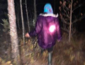 Ушла за клюквой и потерялась. В Ганцевичском районе снова искали ягодницу