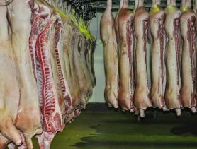 Криминальную схему по продаже мяса погибшего скота вскрыли в Брестской области