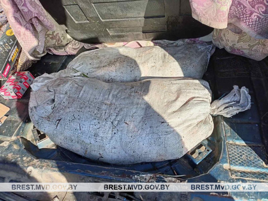 В рыбхозе в Дрогичинском районе хотели украсть около 170 килограммов карпа.