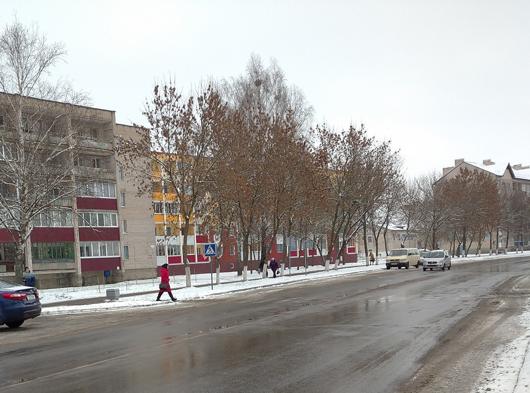 В Ганцевичах к областным 