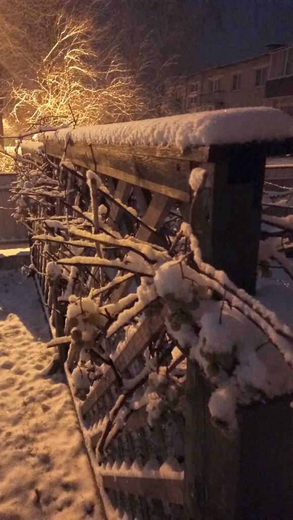 В Ганцевичах выпал первый снег