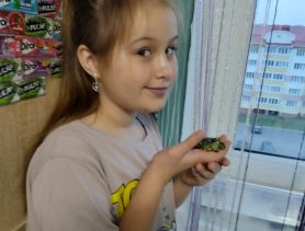 Коты-предсказатели и черепаха: чем ещё удивляют участники конкурса