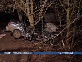 Машина врезалась в дерево в Столинском районе: два человека погибли