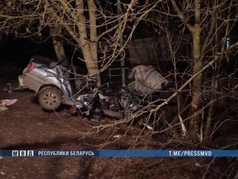 Машина врезалась в дерево в Столинском районе: два человека погибли