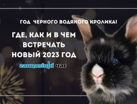 Учитывать предпочтения Черного Водяного Кролика! Где, как и в чем встречать Новый 2023 год