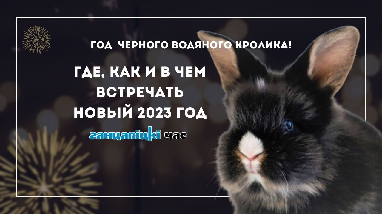 Учитывать предпочтения Черного Водяного Кролика! Где, как и в чем встречать Новый 2023 год