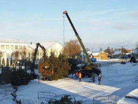 Празднику быть! На площади в Ганцевичах устанавливают главную елку района
