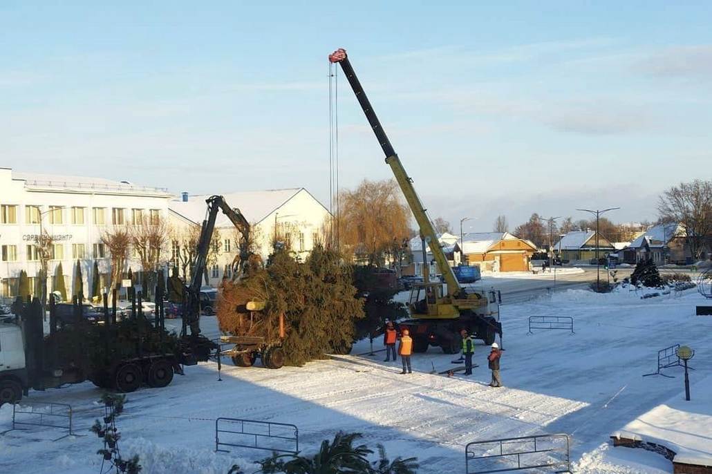 Празднику быть! На площади в Ганцевичах устанавливают главную елку района
