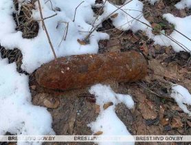 Боеприпас времен войны обнаружили в Пинском районе
